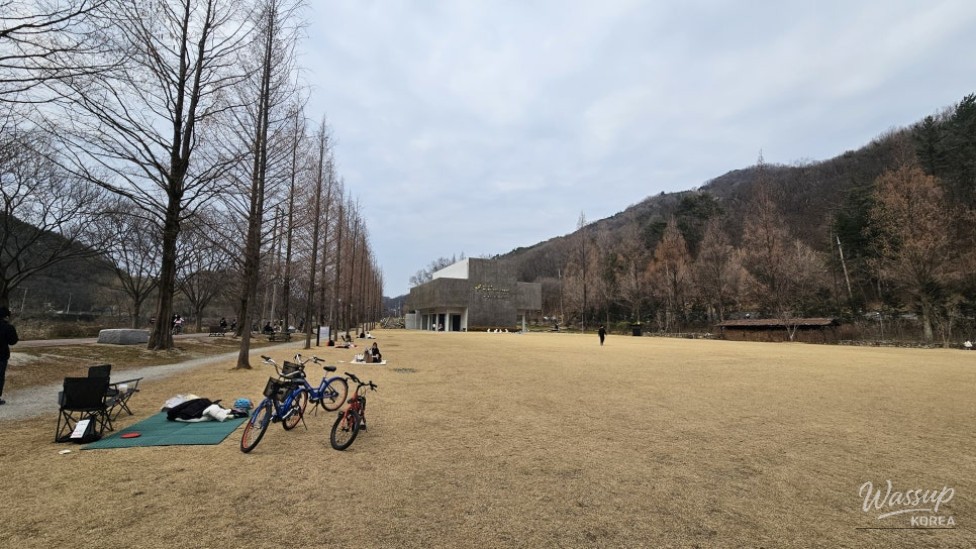 Enjoying Bicycle Riding and Picnics in the City_03