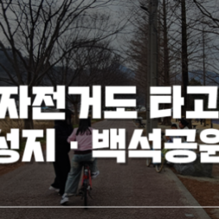 Enjoying Bicycle Riding and Picnics in the City1505