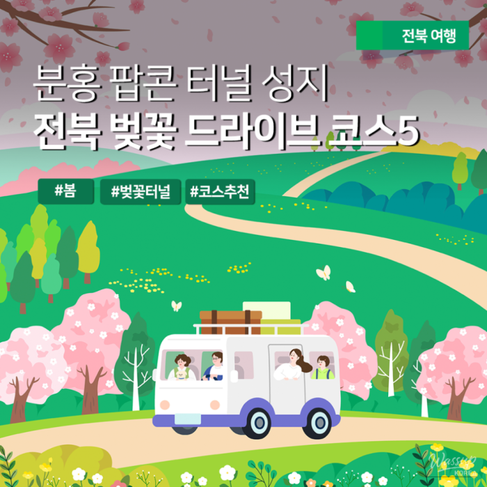 Recommended Cherry Blossom Drive Routes in Jeonbuk1512