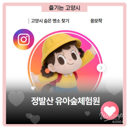 Discovering the Hidden Gem of Jeongbalsan Forest Experience Center in Goyang City_07