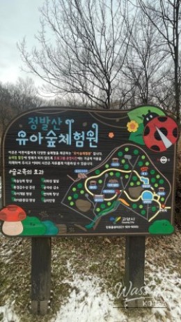 Discovering the Hidden Gem of Jeongbalsan Forest Experience Center in Goyang City_06