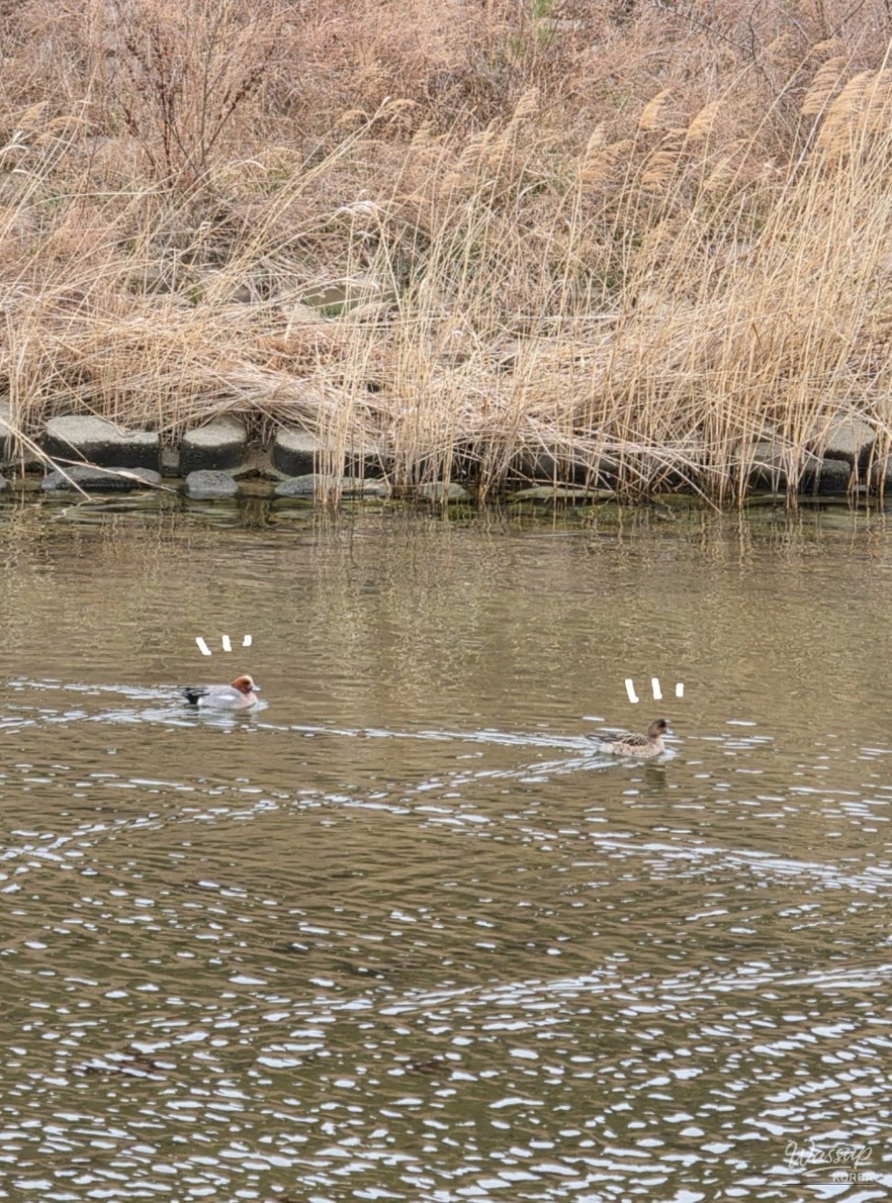 Exploring Ilgwang Icheon Ecological Park_09