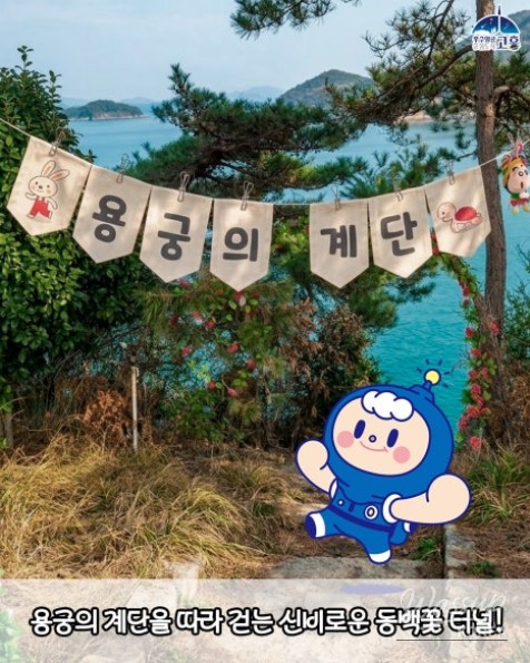 Experience the Beauty of Spring at the 2026 Goheung Camellia Flower Festival_06