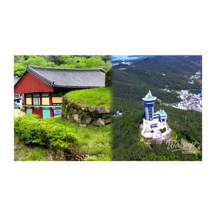 Solo Travel in Haenam: A Journey of Reflection2920