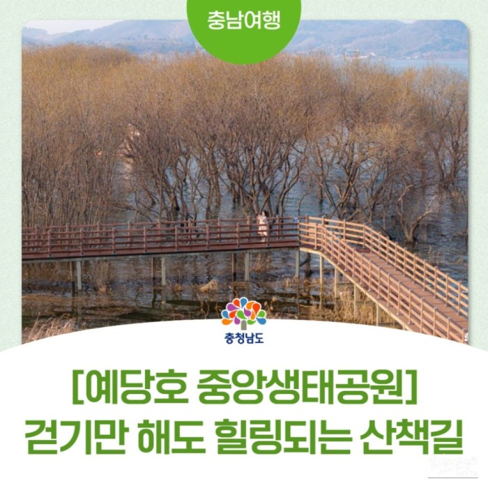 Exploring the Central Ecological Park at Yesanho2917