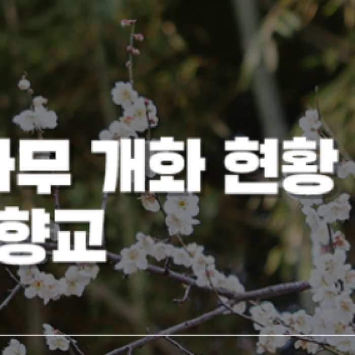 Spring Outing to Jeonju Hyanggyo1515