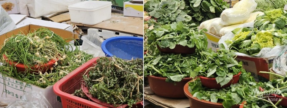 Enjoying Spring Shopping at Pyeongtaek Tongbok Market_06