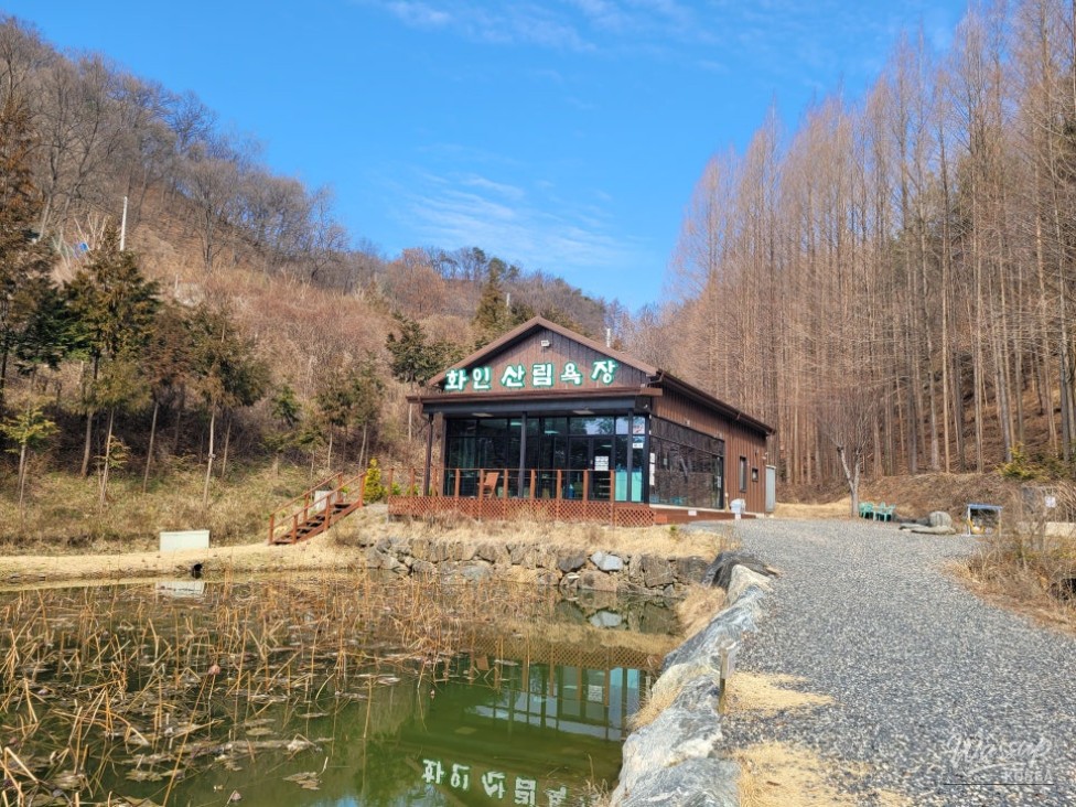 Healing Destination: Hwain Forest Bathing Area in Okcheon, Chungbuk_02