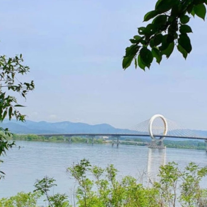 Spring Blossoms at Gungji Stream in Chuncheon2933