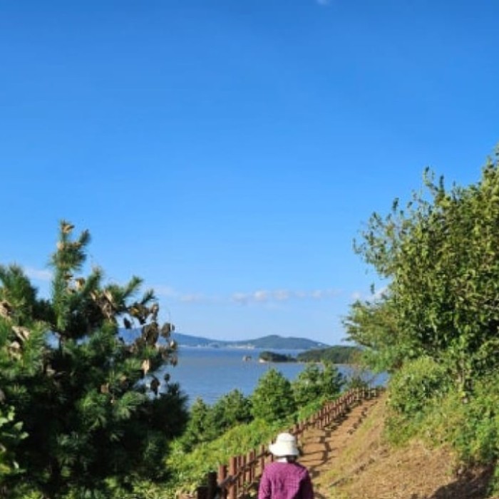 Exploring the Scenic Yeondanpo Coastal Trail2950
