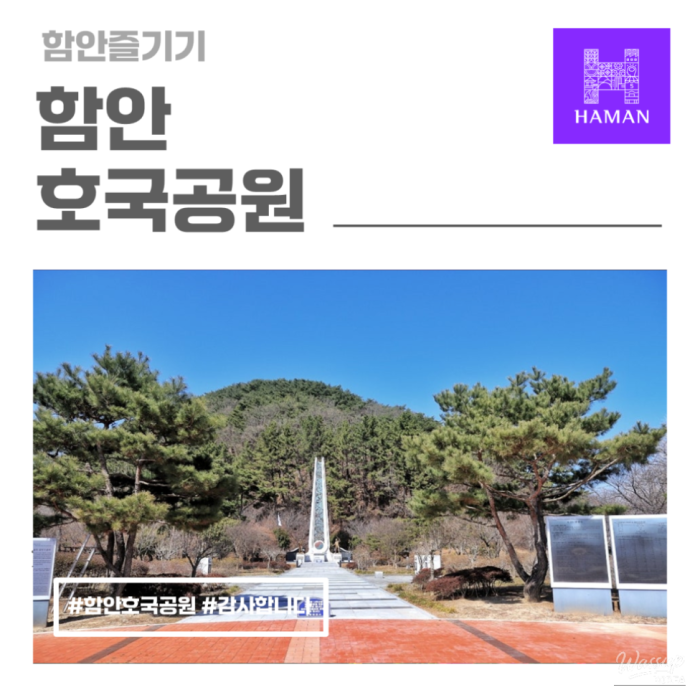 Exploring the Historic Gangji-ri Protection Tree and Hangeuk Park1526