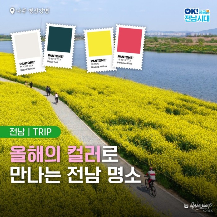Discover the Colors of Jeonnam This Spring2945