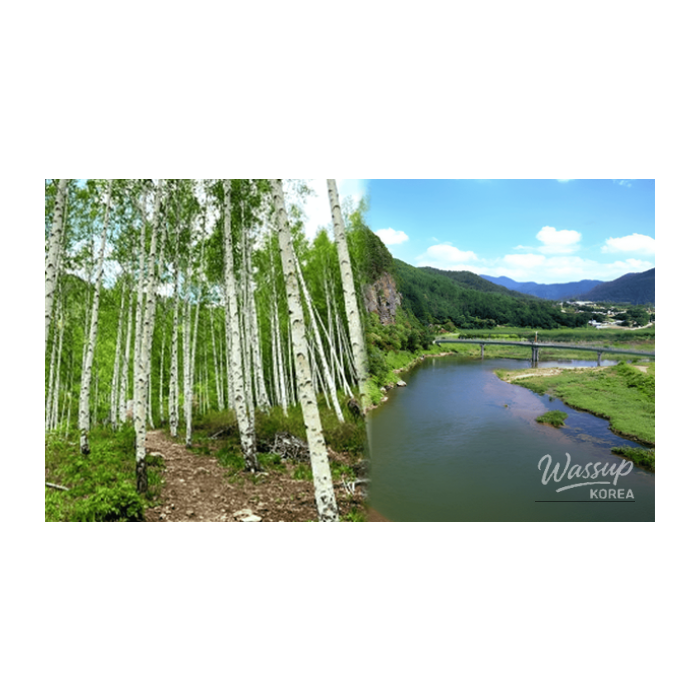 Top 4 Healing Spots in Yeongyang to Embrace Spring2944