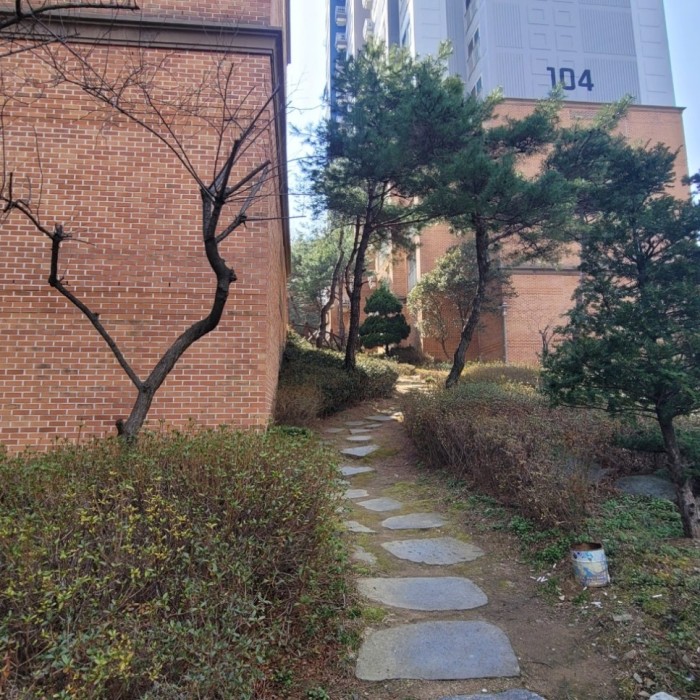 Recommended Healing Walk on the Barefoot Clay Path in Dangjin2951