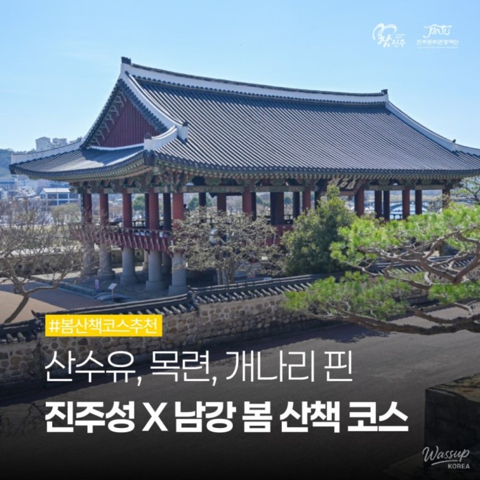 Spring Walk Course in Jinju, Gyeongnam2949