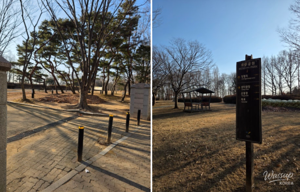 Discovering Cheongpyeongji: A Hidden Gem in Ilsan Lake Park_02
