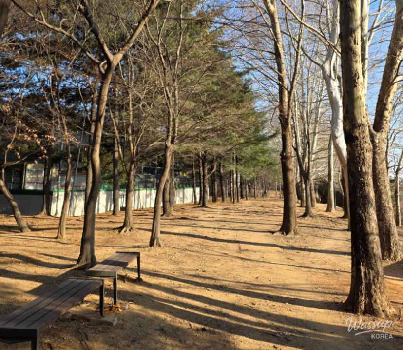 Discovering Cheongpyeongji: A Hidden Gem in Ilsan Lake Park_04