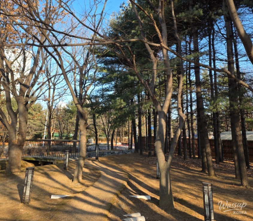 Discovering Cheongpyeongji: A Hidden Gem in Ilsan Lake Park_05