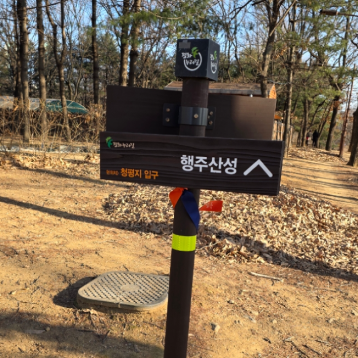 Discovering Cheongpyeongji: A Hidden Gem in Ilsan Lake Park336