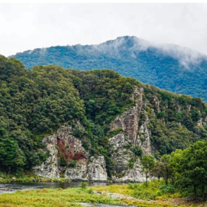 Exploring the Scenic Beauty of Mungyeong Jinnamgyoban2963