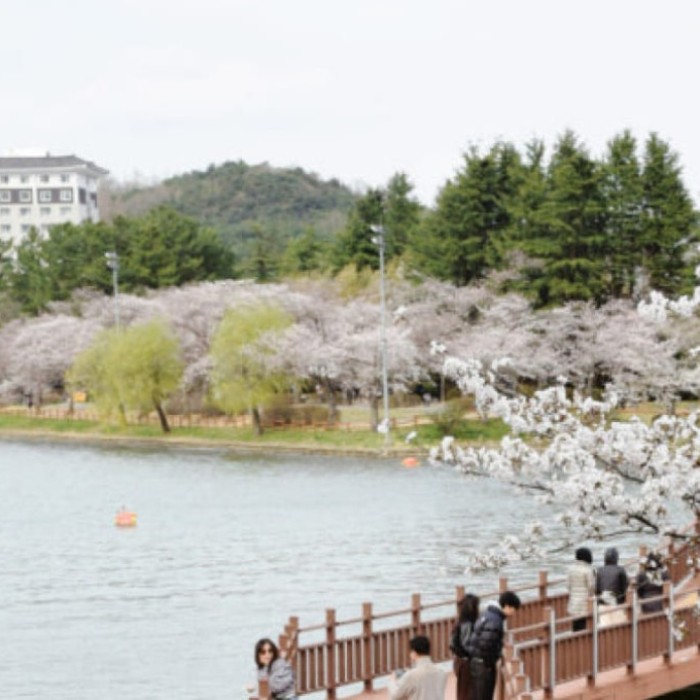 Exploring Bomun Lake in March: A Hidden Gem2974