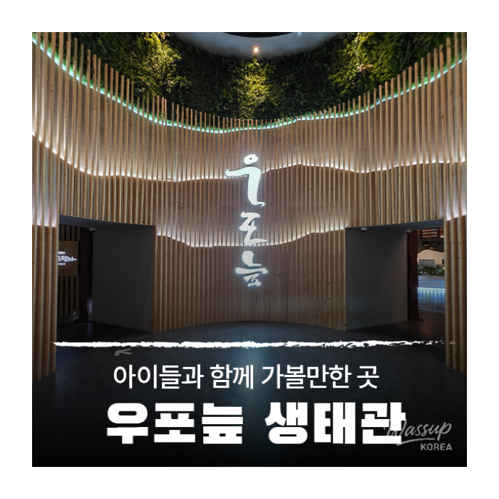 Exploring the Upo Wetland Ecological Center in Changnyeong1530