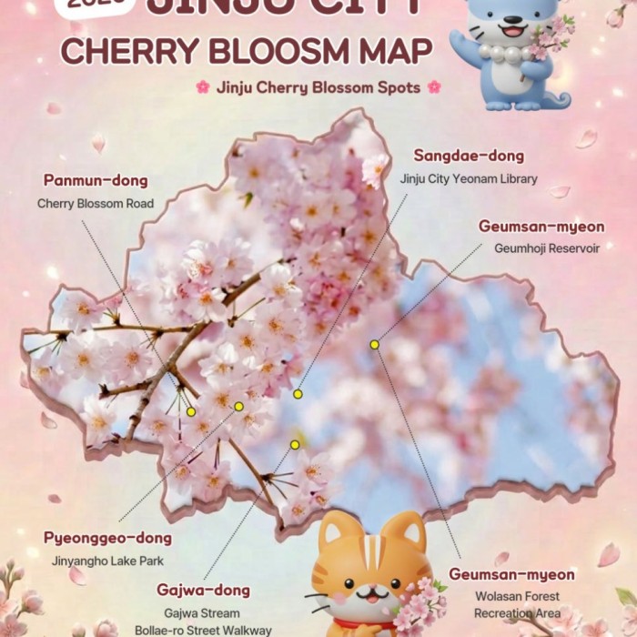 Jinju Cherry Blossom Viewing Spots2969