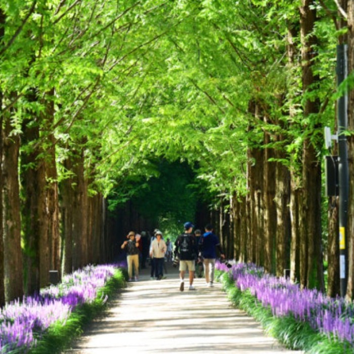 Discover the Charms of Uroji Natural Ecological Park in Yeongcheon2982