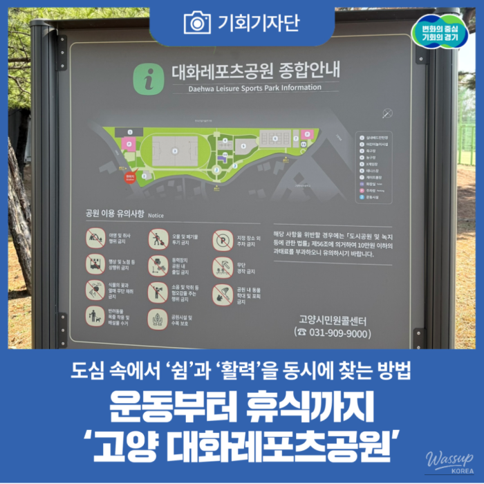 Finding Rest and Vitality in the City: A Visit to Daehwa Sports Park1535