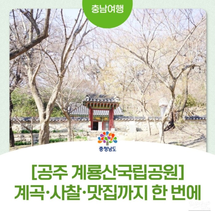 A Spring Outing at Gapsa in Gyeryongsan National Park2985