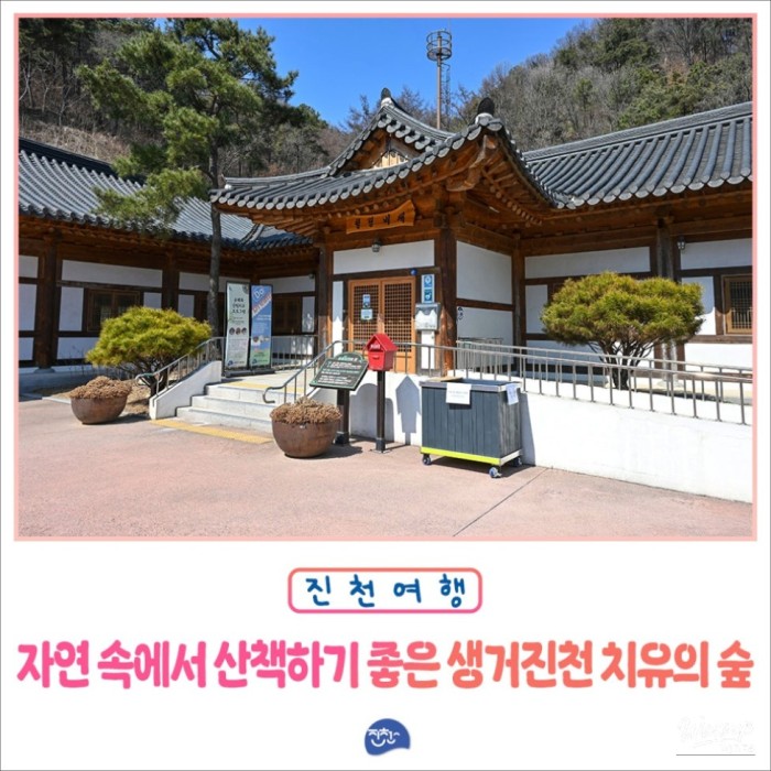 Healing Forest of Saenggeojincheon: A Hidden Gem in Jincheon2987