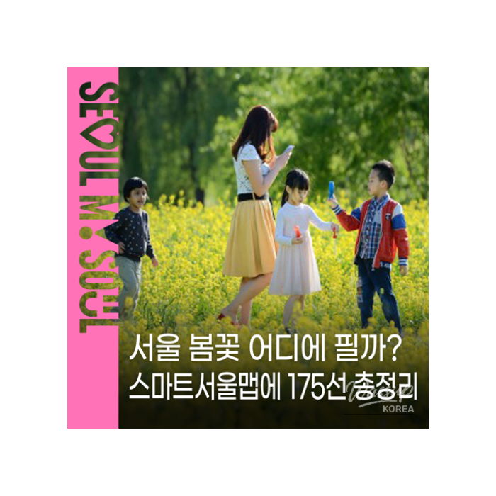 Enjoy the Spring Flower Paths in Seoul1029