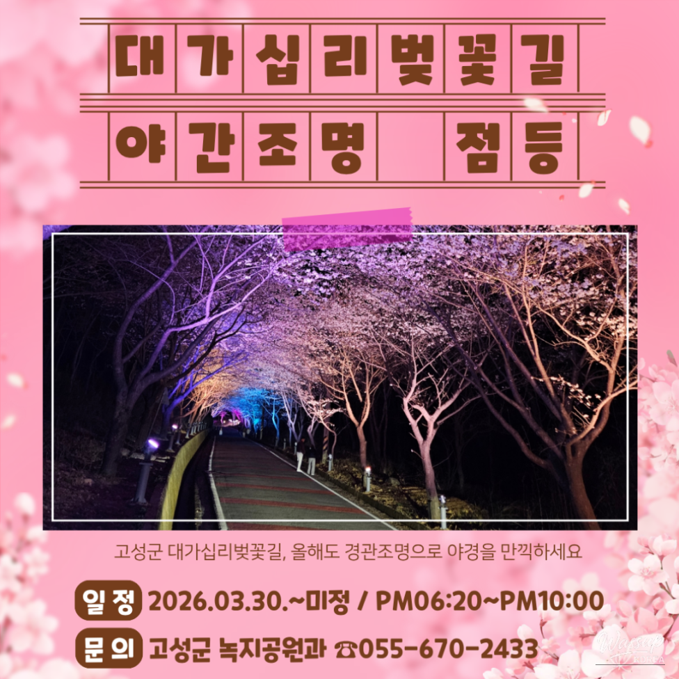Nighttime Cherry Blossom Lighting at Daegam_01