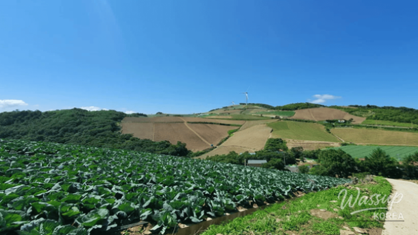 The Best Quiet Healing Travel Destinations in March_02