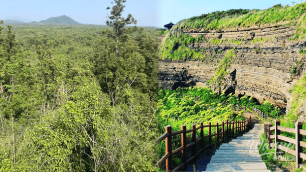 Exploring the Best of Jeju's Western Region in Early Spring_01