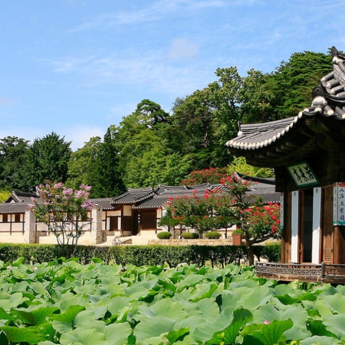 Exploring the Beauty of Seongyojang in March2998