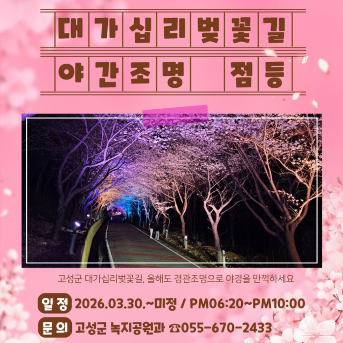 Nighttime Cherry Blossom Lighting at Daegam1033