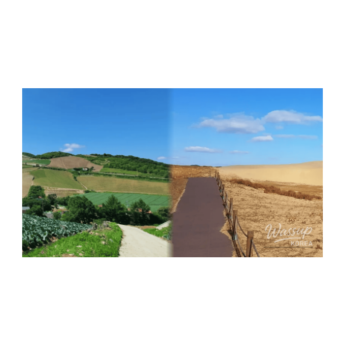 The Best Quiet Healing Travel Destinations in March2992