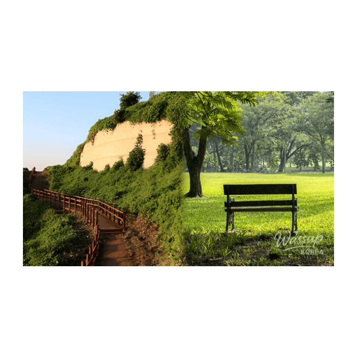 Exploring Incheon: Top 4 Must-Visit Places for a Day Trip3003