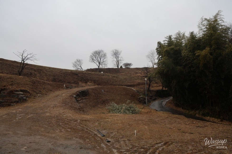 Exploring the Ancient Kingdom of Ara Gaya in Ham-an_04