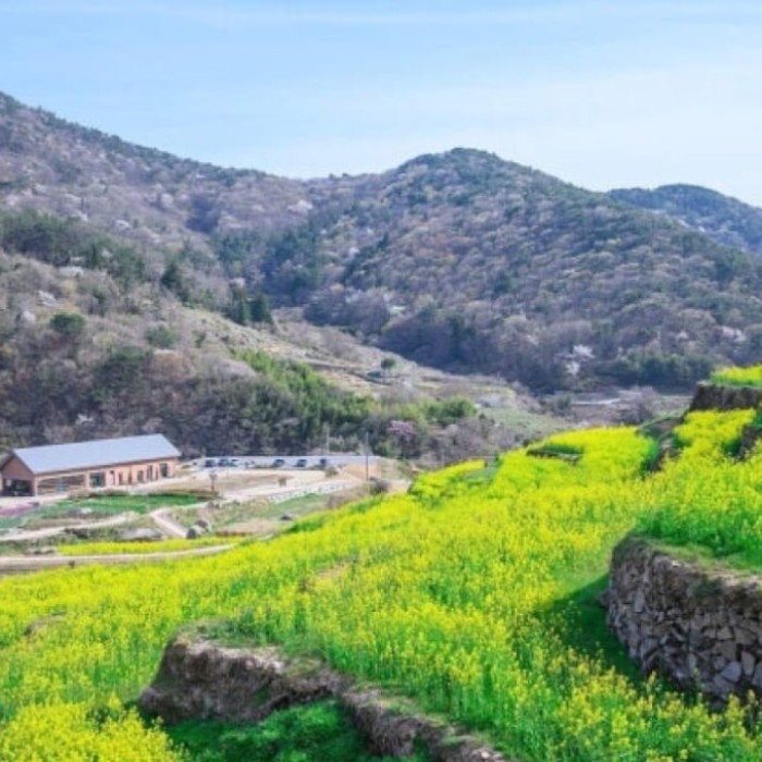 Discovering the Unique Charm of Paradarangs in Namhae3014