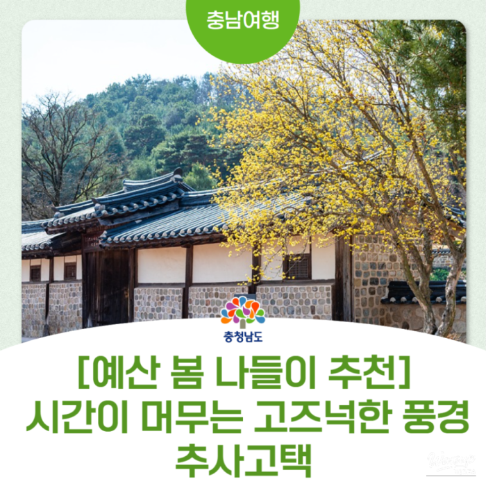 Spring Outing Recommendation: The Serene Landscape of Chusa House3016