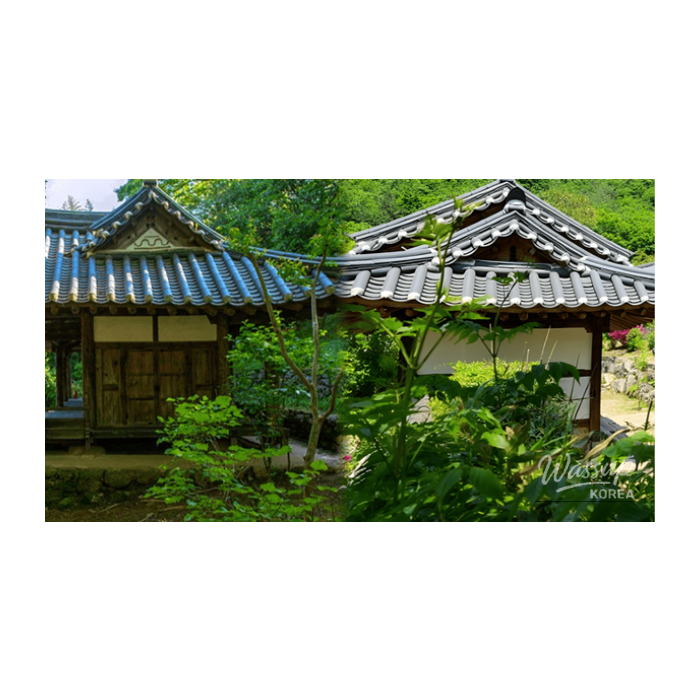 Discovering Korea's Traditional Hanok Villages in Early Spring3019