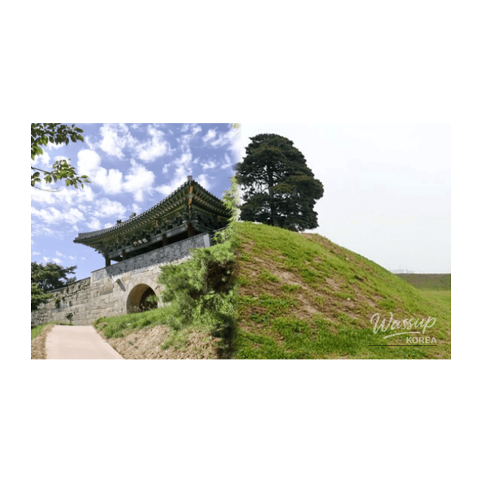 Exploring Cheongju: A Tranquil Getaway3008