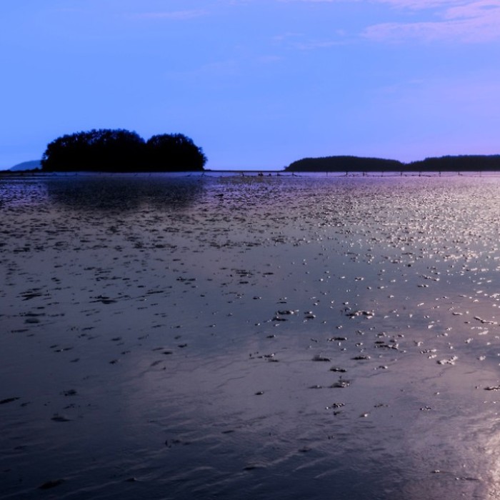 The Tranquil Charm of Biin Beach in March3026
