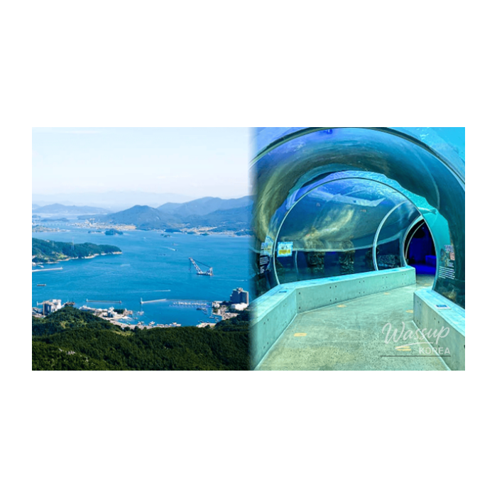 Discovering Sacheon: Top 4 Must-Visit Places3025