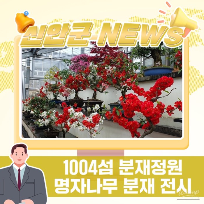 Spring Bonsai Exhibition at Shinan 1004 Islands3042