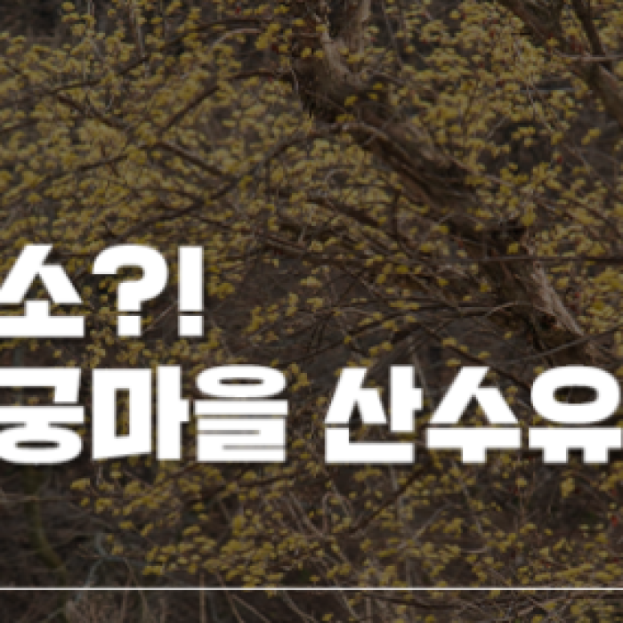 Discovering the Beauty of Namsan Village in Namwon1560