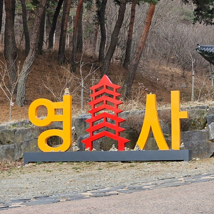 Tourist Incentive Support in Dangjin City3048