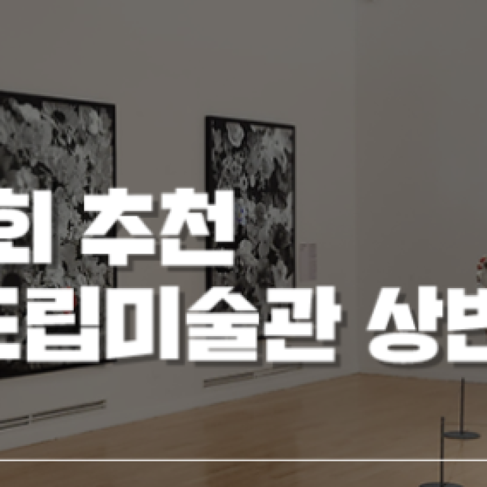 Exhibition Overview at Jeonbuk Provincial Museum of Art - First Half of 20261557